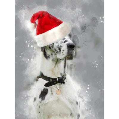 Diamant schilderij Duitse dog Diamant borduurwerk hond Volledige boor Kerst dieren afbeelding 20X30CM