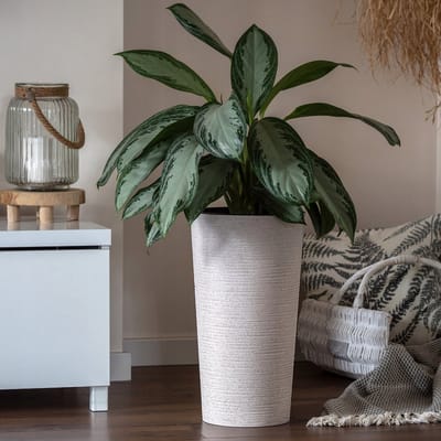 KADAX Bloempot met houtspaanders, elegante bloempot met uitneembare inzet, bloempotbescherming voor kantoor, bloembak, pot, tuinschaal (diameter 25 cm, crème)