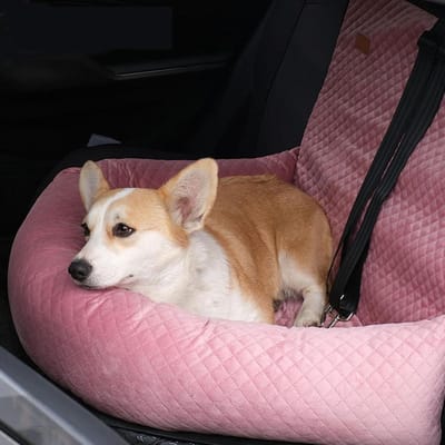 Huisdier autostoel - Honden draagmand - Veilig reizen - Dubbele veiligheidshaak - 75 cm lang - Grijs