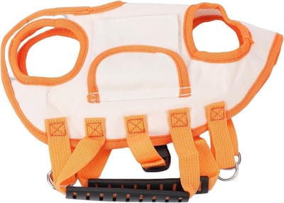 Draagbare Hondentas - Dierentas Reizen - Comfortabel Vervoer - Ademend Nylon Ontwerp - 23x18x3 cm - Oranje