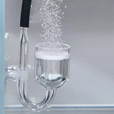 Aquariumwaterreiniger JBL Proflora Co2 Taifun Midi