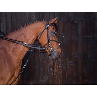 Teugels voor lederen gog paarden Riding World