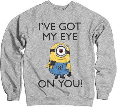 Minions Sweater/trui -S- I Got My Eye On You Grijs