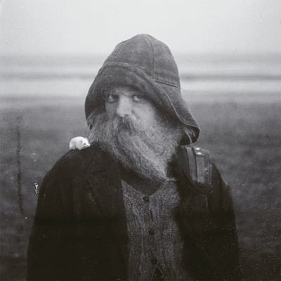 Mary In The Junkyard - Role Model Hermit (LP)