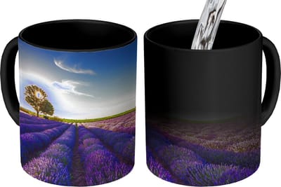 Magische Mok - Foto op Warmte Mokken - Koffiemok - Lavendel - Zon - Boom - Bloemen - Paars - Magic Mok - Beker - 350 ML - Theemok