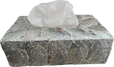 Dream-Living Luxe Tissue box lichte Abalone schelpen 24x12x7cm