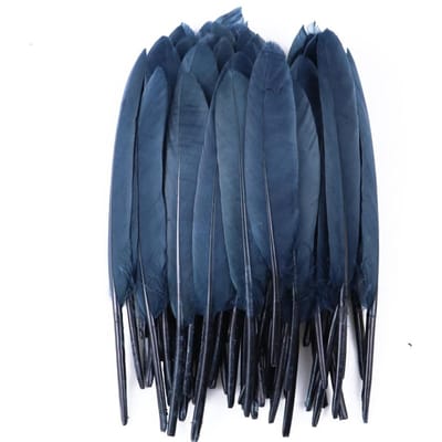 50/100/200 stuks Blauwe Ganzenveren Harde Schacht 4-6inch/10-15cm Echte Natuurlijke Zwanenveer Huis Decoratief Dromenvanger Handwerk 50Pieces