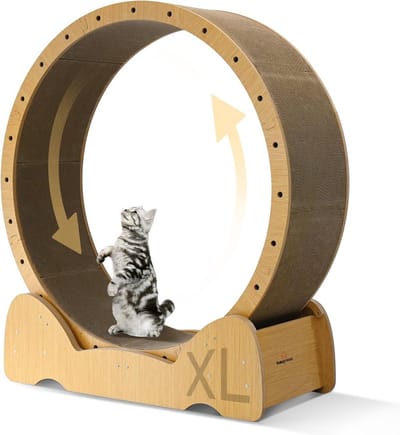 Kattenloopfiets XL - Houten Indoor Loopband voor Gezondheids- en Gewichtsverlies