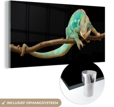 MuchoWow® Glasschilderij 40x20 cm - Schilderij acrylglas - Kameleon - Tak - Pastel - Foto op glas - Schilderijen