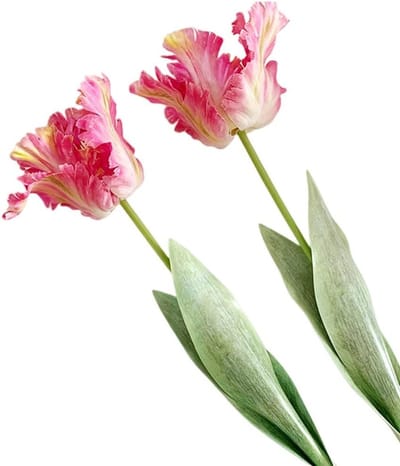 Kunstmatige Tulpen Bloemen 68cm - Nepp bloemen voor Vaasdecoratie, Lange Steel, Groene Takken, Thuis en Kantoor Decoratie (2 Stuks, Roze)