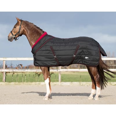 QHP Staldeken luxe Collection 200gr - maat 125/165 - black