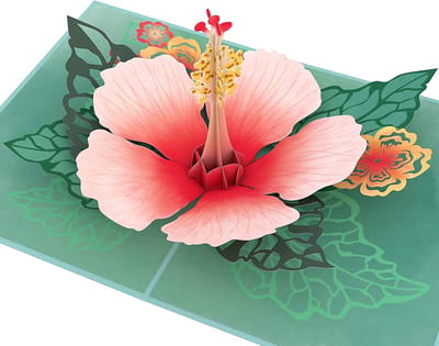 3D Wenskaart Bloesem/Hibiscus – Pop-Up Bloemenkaart voor Moederdag, Verjaardag of Jubileum