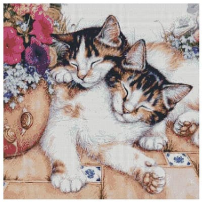5D Diy Kat Cartoon Broderies Diamanten Gift Dier Diamant Mozaïek Schilderij Volledige Diamant Borduren 20X30