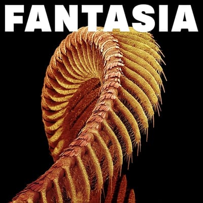 Slift - Fantasia (CD)