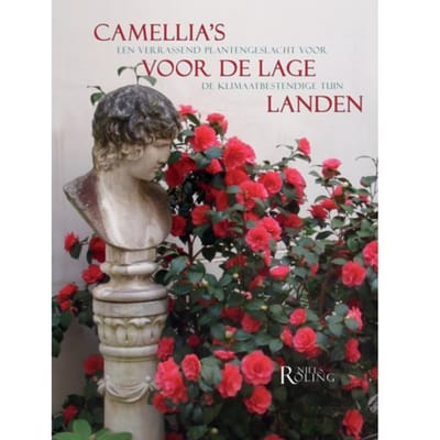 Camellia's Voor De Lage Landen - Niels Röling