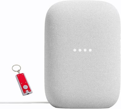 Draadloze Bluetooth Luidspreker - Muziek Streaming Apparaat - Thuis Audio Systeem - Ruimte Vullend Geluid - 30 Watt Vermogen - Krijt