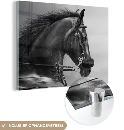MuchoWow® Glasschilderij 160x120 cm - Schilderij acrylglas - Paarden - Zwart - Portret - Dieren - Foto op glas - Schilderijen