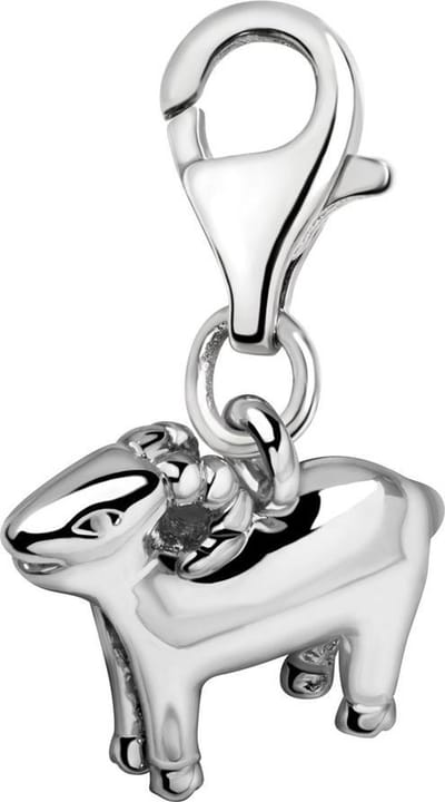 Quiges – Charm – Hanger - 3D Horoscoop Steenbok - Verzilverd - karabijnslot - geschikt - voor - Bedelarmband - QHC170