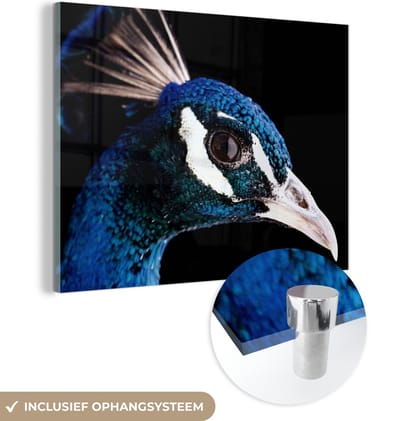 MuchoWow® Glasschilderij 160x120 cm - Schilderij acrylglas - Pauw - Dier - Blauw - Foto op glas - Schilderijen