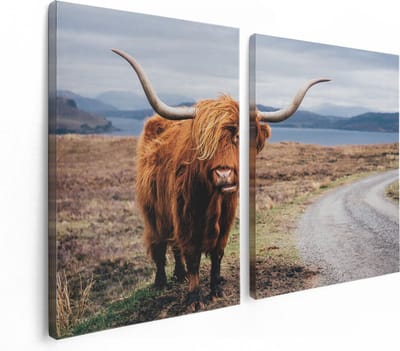 Artaza Canvas Schilderij Tweeluik Schotse Hooglander Koe Op De Weg - 120x80 - Foto Op Canvas - Canvas Print