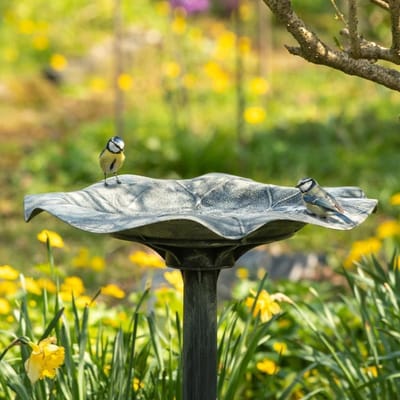 CJ Wildlife Vogeldrinkschaal voor Tuinvogels - Silbersee - Vogelbad op Voet - Waterschaal op Sokkel - Drinkschaal voor Buiten - Grijs/Zilver