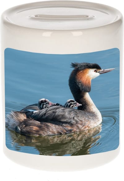 Dieren fuut vogel foto spaarpot 9 cm jongens en meisjes - Cadeau spaarpotten fuut vogel vogels liefhebber