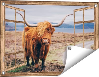 Gards Tuinposter Doorkijk Schotse Hooglander Koe op de Weg - 60x40 cm - Tuindoek - Tuindecoratie - Wanddecoratie buiten - Tuinschilderij