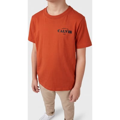 Calvin Klein Boys Calvin Small Chest Logo Tee Orange Balloon Taglia: 8 | T-shirt Outlet | kids | Arancione
