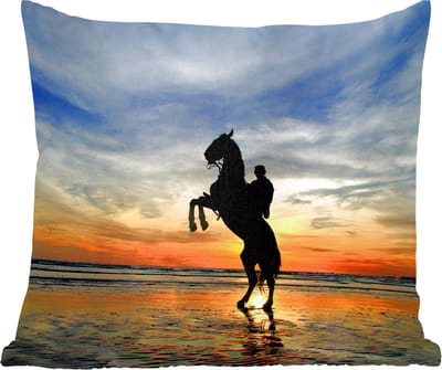 Sierkussens - Kussentjes Woonkamer - 60x60 cm - Paard - Lucht - Schaduw