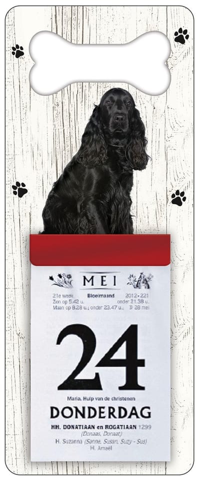 Scheurkalender 2024 Hond: Engelse Cockerspaniël