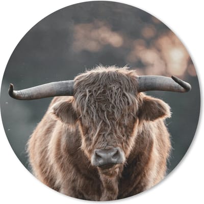 Muismat rond 20x20 cm - Mousepad Koe - Schotse hooglander - Hoorn - Ronde muismatten