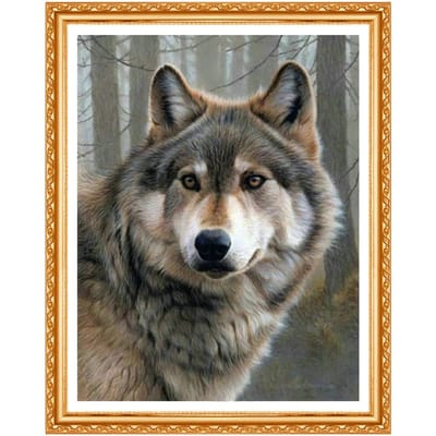 Diamond Painting Wolf foto Volledige ronde Diamond Emboridery Dieren sticker Cross Diamond Home Decor 20X30CM
