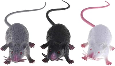 Nep Muis Set - Nep Ratten - Grappen Uithalen - Realistisch Ontwerp - 4 x 20 cm - Meerkleurig