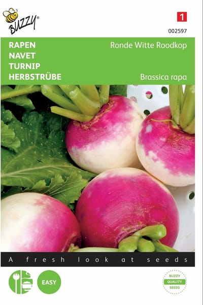 2 stuks - Buzzy - Rapen Ronde Witte Roodkop