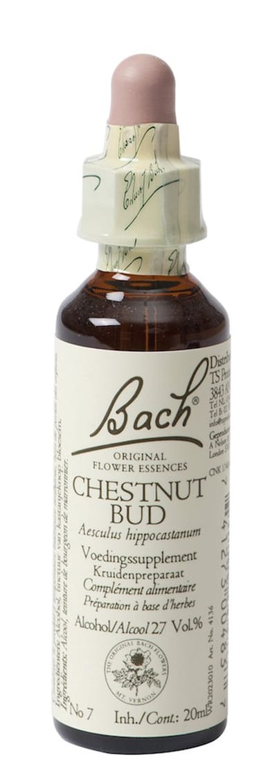Bach Chestnut Bud Kastanjeknop - 20 ml - Voedingssupplement