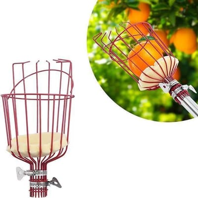 Fruitplukker 1 Stuk 33 Cm Zonder Steel Verstelbare Knop Geschikt Voor Appels Avocado's Perziken Peren En Citroenen Rood