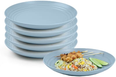 Plasticforte Rond bord/camping bord - 6x - D20 cm - ijsblauw - kunststof - onbreekbaar - servies
