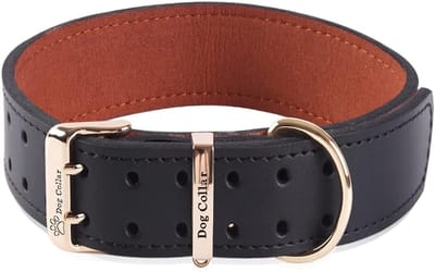 Zachte leren halsband voor wandelen en training - voor alle hondenrassen - maat XL
