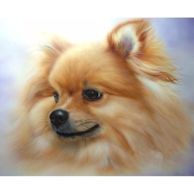 Diamantschilderij met volledige vulling, kruissteek, Pomeranian afbeeldingen, diamantborduurwerk, versieringssticker 20X30CM brown