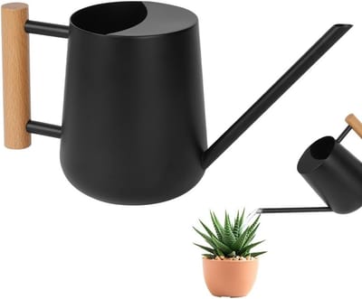 Kleine Gieter van 1 Liter voor Planten en Huishoudelijke Planten met Lange Tuit, Ideaal voor Bonsai en Tuinieren