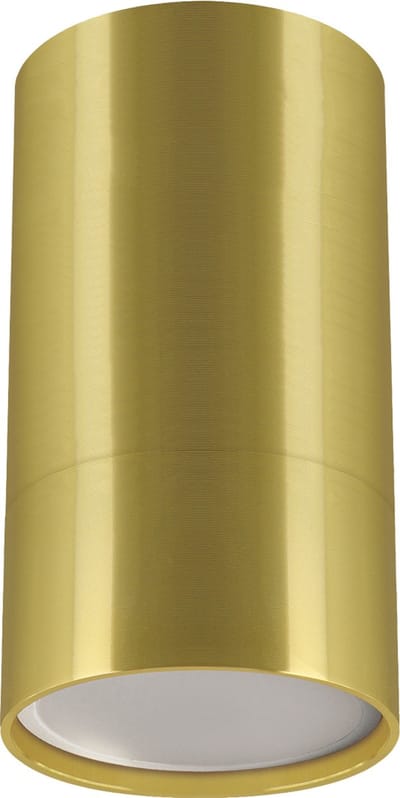 Plafond - Opbouw Spot Armatuur - GU10 fitting - Rond - goud kleur