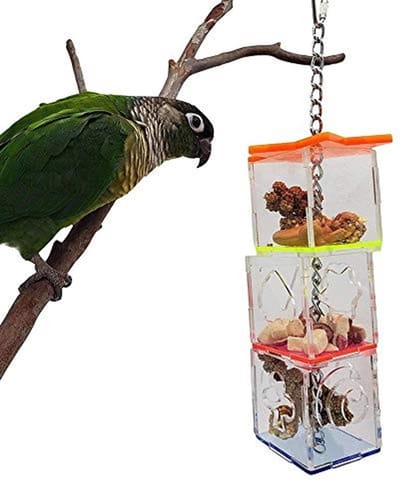 Dailygoods - Vogelvoer Assembly Blok Kit - Duurzaam Huisdier Speelgoed - Ideaal voor vogels - Voer en Speelgoed in één - Voedsel Bal - Geschikt voor p