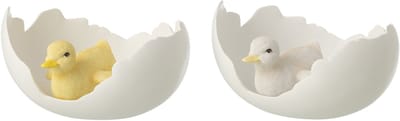 J-Line decoratie Eend in Eierschaal - polyresin - wit/geel - large - 2 stuks