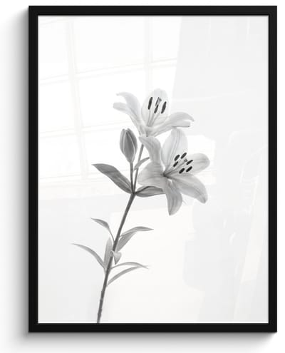 Poster in lijst - Fotolijst 60x80 cm - Posters - Lelies - Elegant - Zwart - Wit - Posterlijst zwart - Decoratie - Wanddecoratie woonkamer - Muurdecoratie slaapkamer