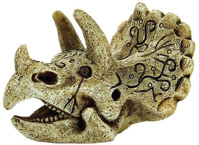 Superfish Skull Triceratops