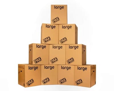 Grote Opbergdozen met Handgrepen - 116 Liter - 10 Stuks - 55x46x46cm