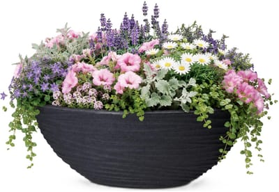 Pro Garden Plantenpot/bloempot ovaal schaal Sylt - buiten - stevig kunststof - antraciet - D51 x H20 cm