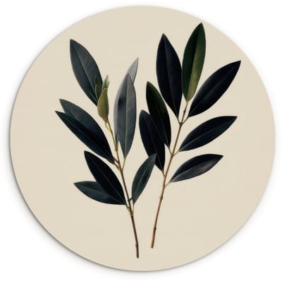 WallCircle® Wandcirkel 120x120 cm - Muurcirkel Ovaalvormige bladeren - Diep groen - Symmetrisch - Muurdecoratie woonkamer - Wanddecoratie slaapkamer - Kamer decoratie accessoires - Ronde schilderijen XXL
