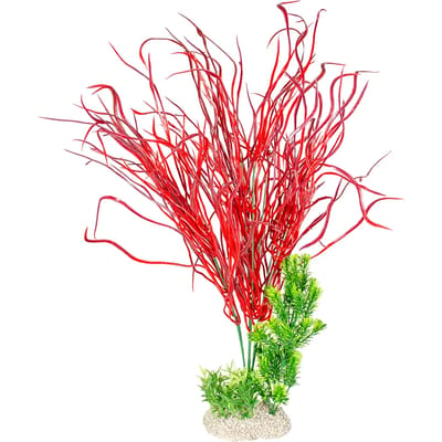 Aqua Della - Aquariumplanten (voeding) - Vissen - Plant Lily Grass Xl - Height 50cm Gemengde Kleuren - 1st