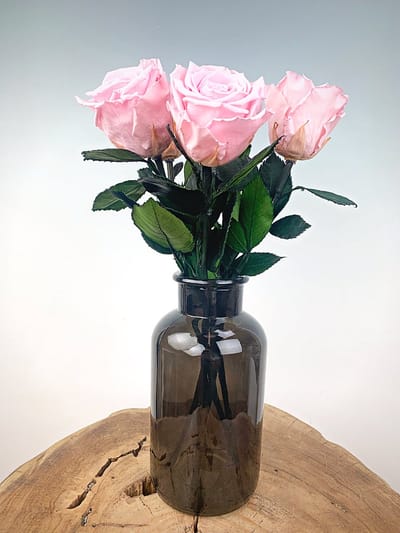 Longlife Rozenbos (5 stuks) roze incl. zwarte melkbus | Uniek en Prachtig Valentijnscadeau